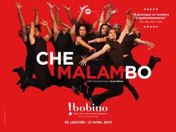che malambo,argentine,danse,bobino,spectacle