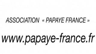papaye