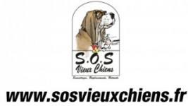 sos vieux chiens