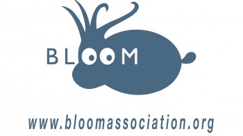 bloom,association,nouvian,claire,pêche,artisanale,electrique,combat