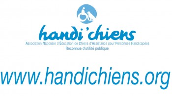 handi chiens