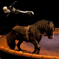 Bartabas,Calacas,spectacle,chevaux