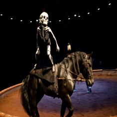Bartabas,Calacas,spectacle,chevaux