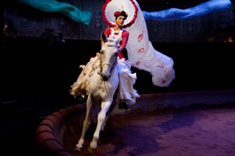 Bartabas,Calacas,spectacle,chevaux