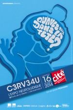 cerveau