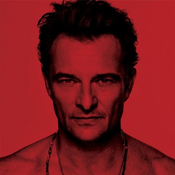 david,hallyday,cd,musique,chanson