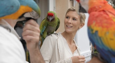 helene gateau