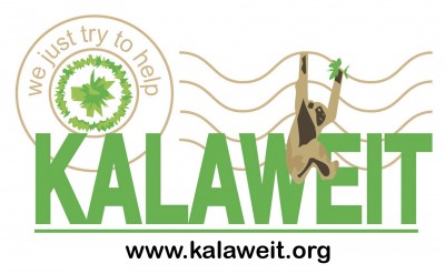kalaweit