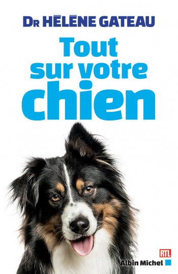 chien,gateau