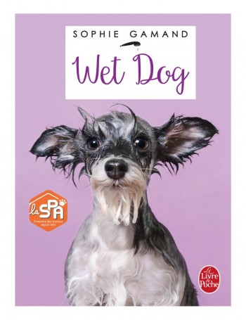 wet dog