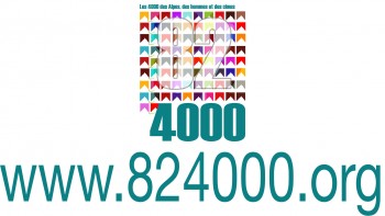 82 4000