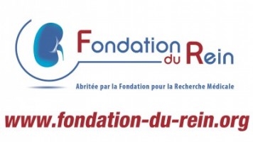 fondation du rein