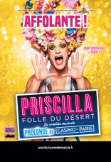priscilla,folle,desert,comédie,musicale
