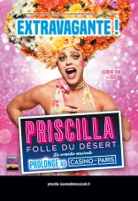 priscilla,folle,desert,comédie,musicale