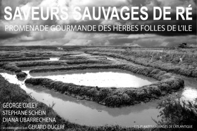 saveurs,ile de ré