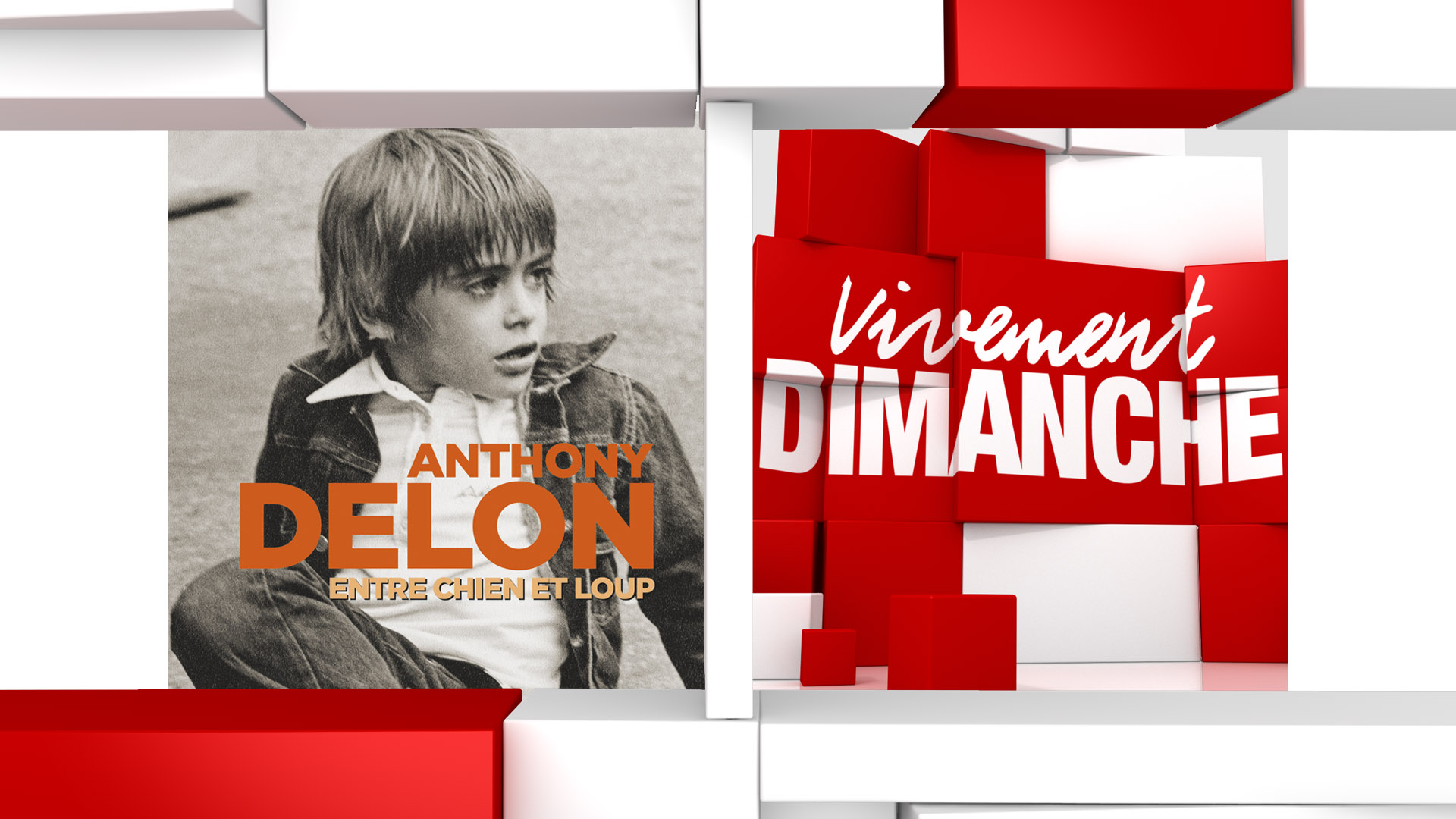 Infos Vivement Dimanche Anthony Delon