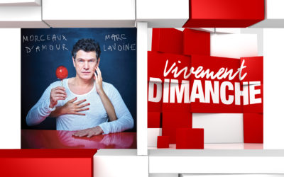 Chroniques Vivement Dimanche du 24/11/2019 Marc Lavoine