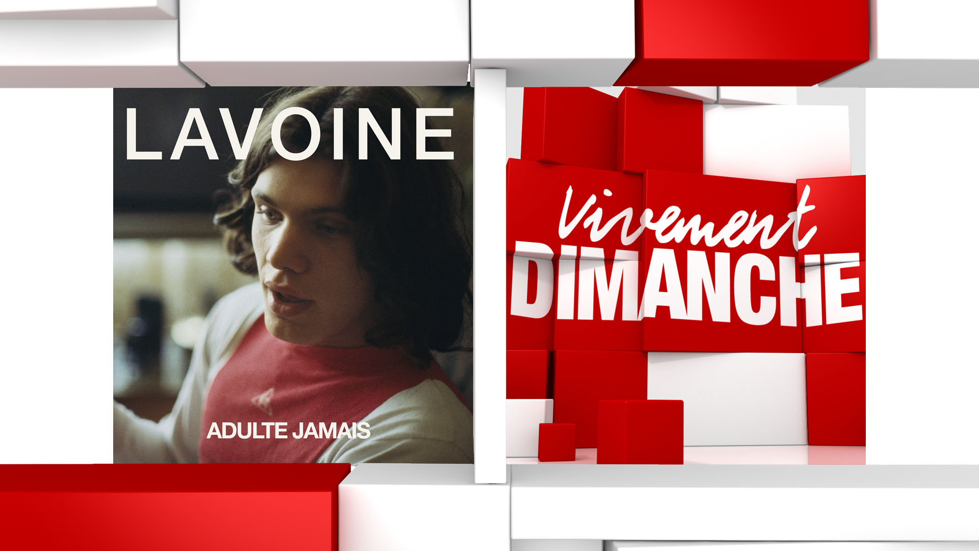 Infos Vivement Dimanche Marc Lavoine