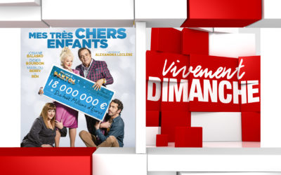 Vivement Dimanche Didier Bourdon