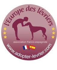 Association L’Europe des Lévriers
