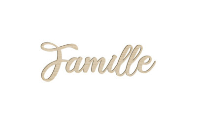 Actualités Vivement Dimanche 48 Spéciale Sagas Familiales